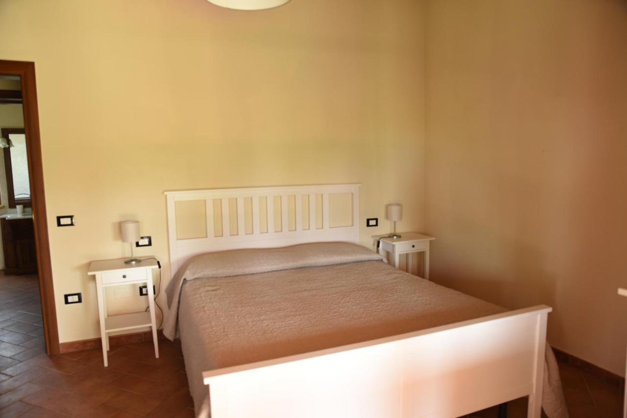 Case&Colline Villa Eliso Bibbona Extérieur photo