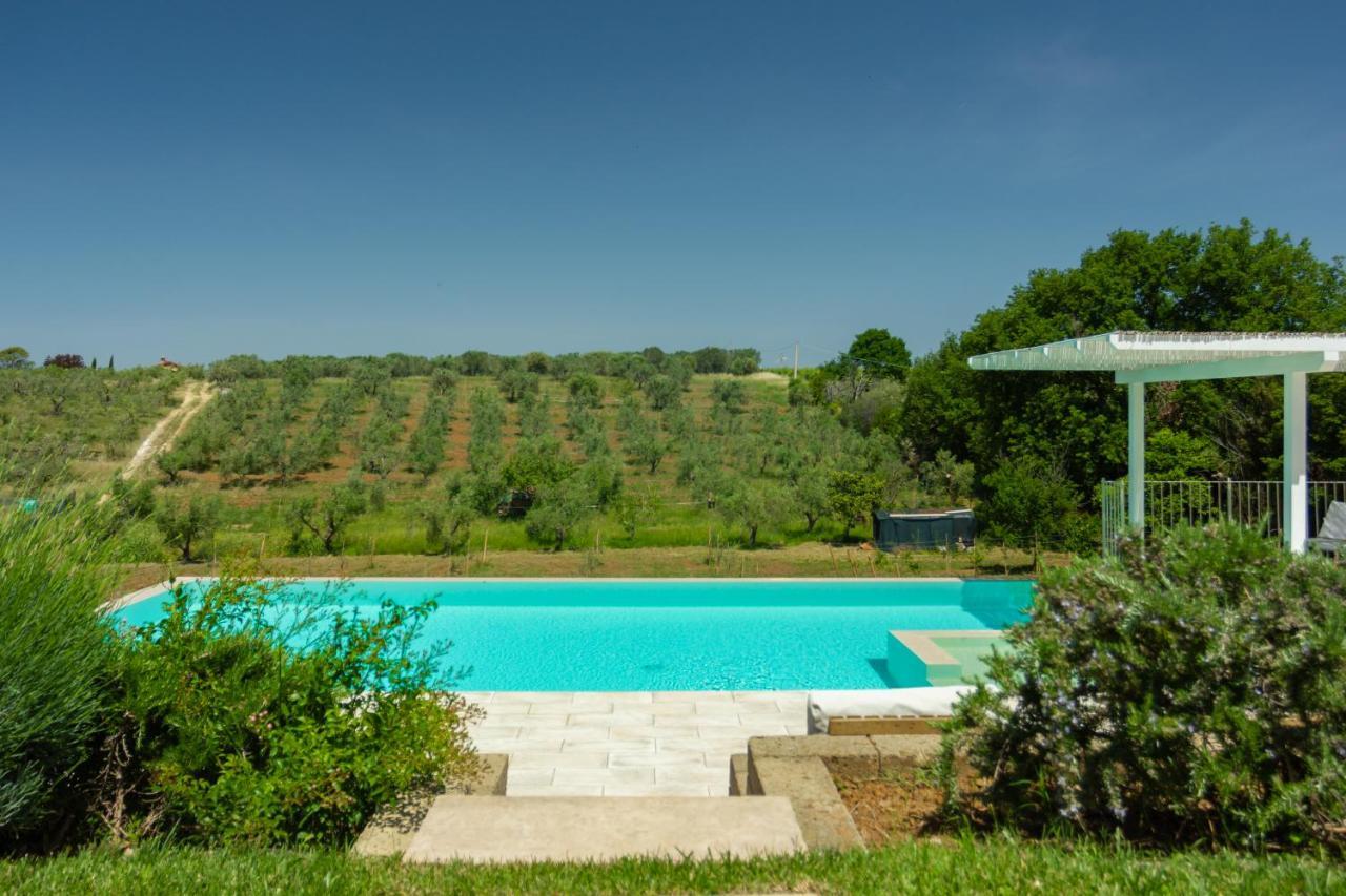 Case&Colline Villa Eliso Bibbona Extérieur photo