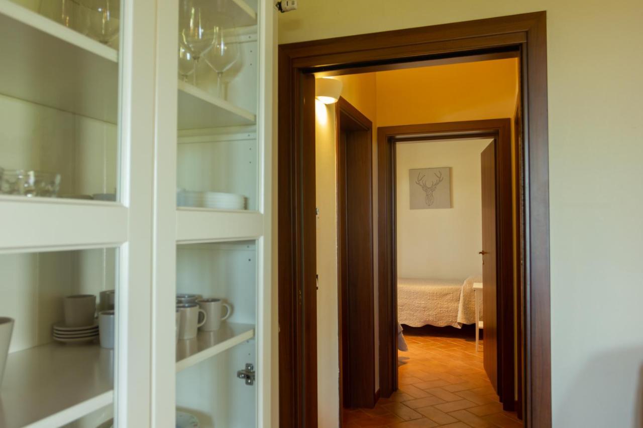 Case&Colline Villa Eliso Bibbona Extérieur photo